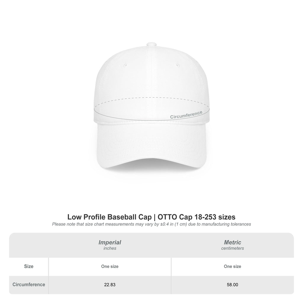 Luna & Raven Night Sky Embroidered Baseball Cap