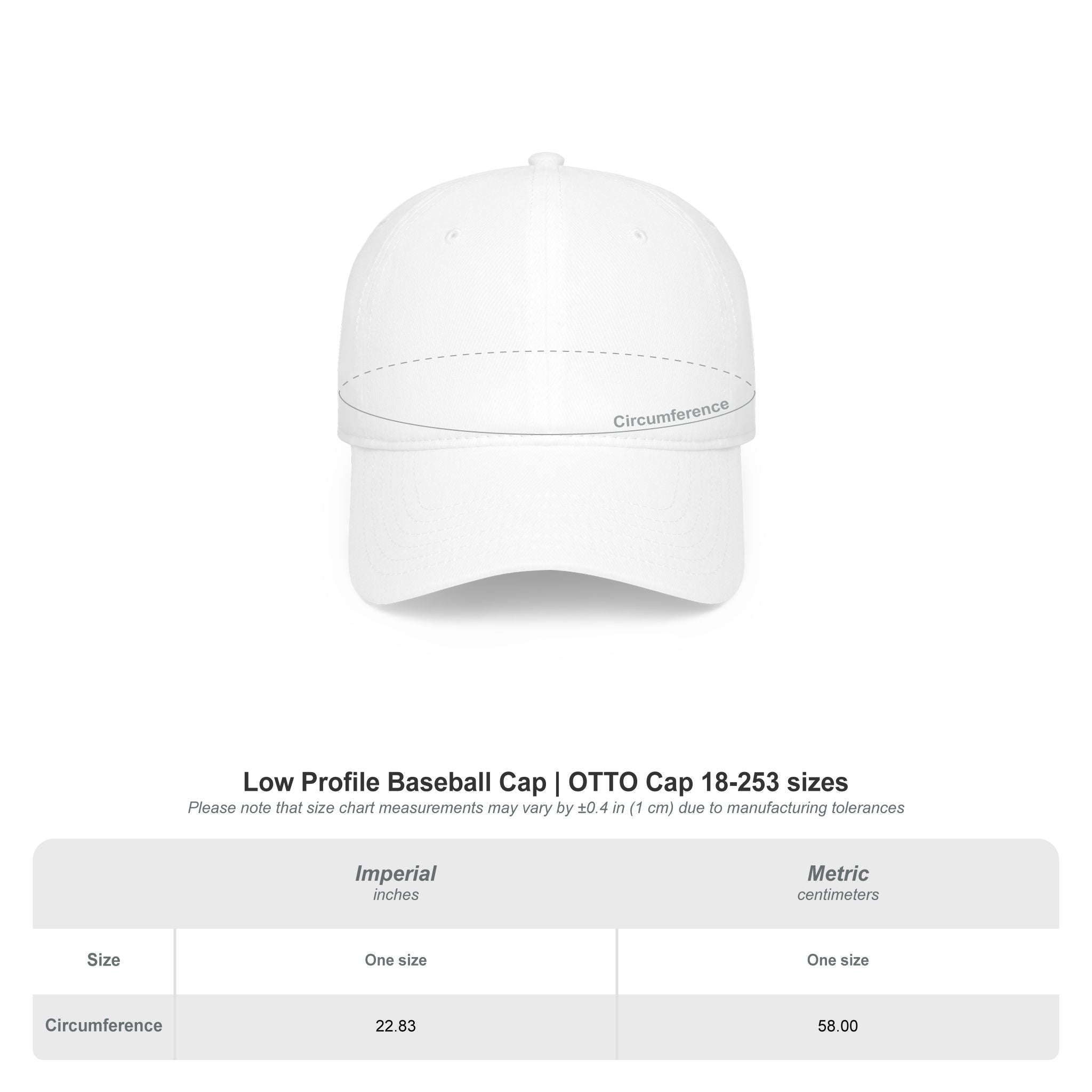 Luna & Raven Night Sky Embroidered Baseball Cap