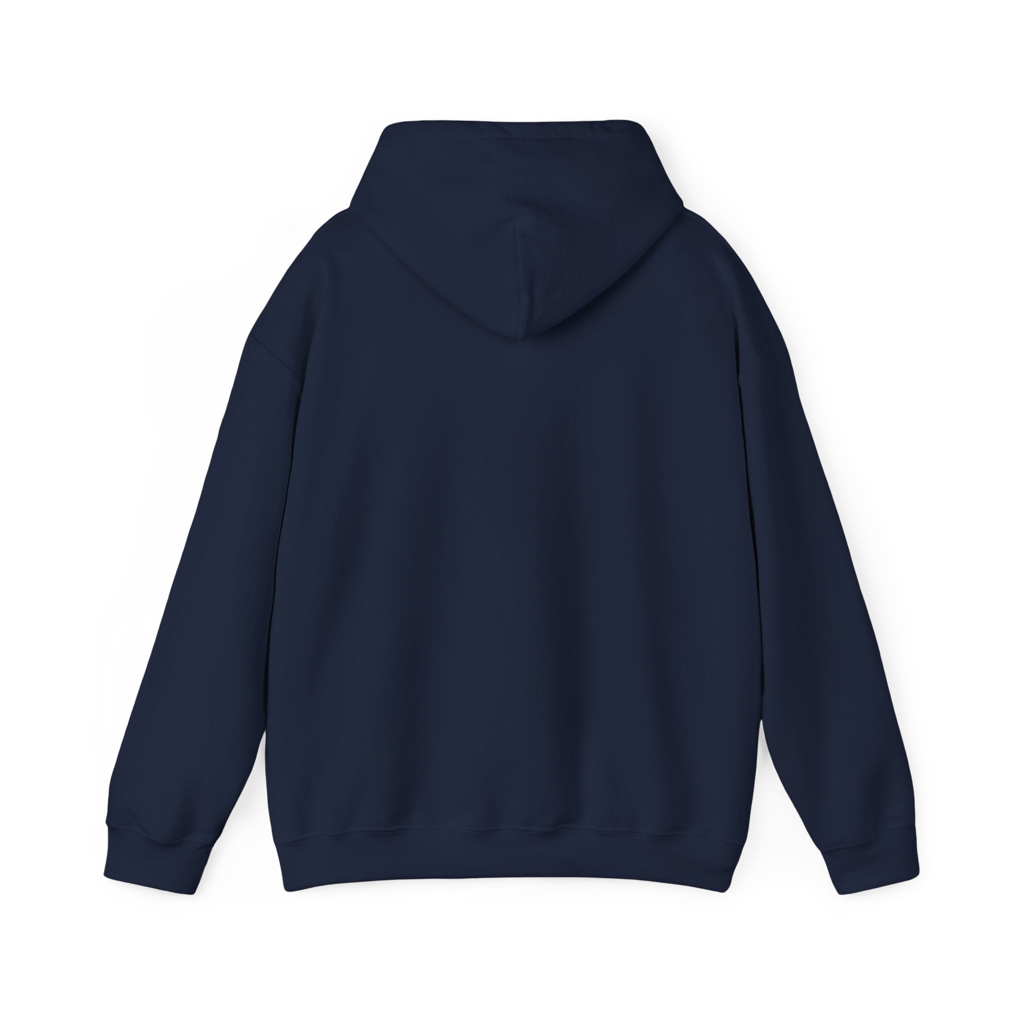 Raven & Moon Hoodie – "Luna & Raven" Celestial Pullover