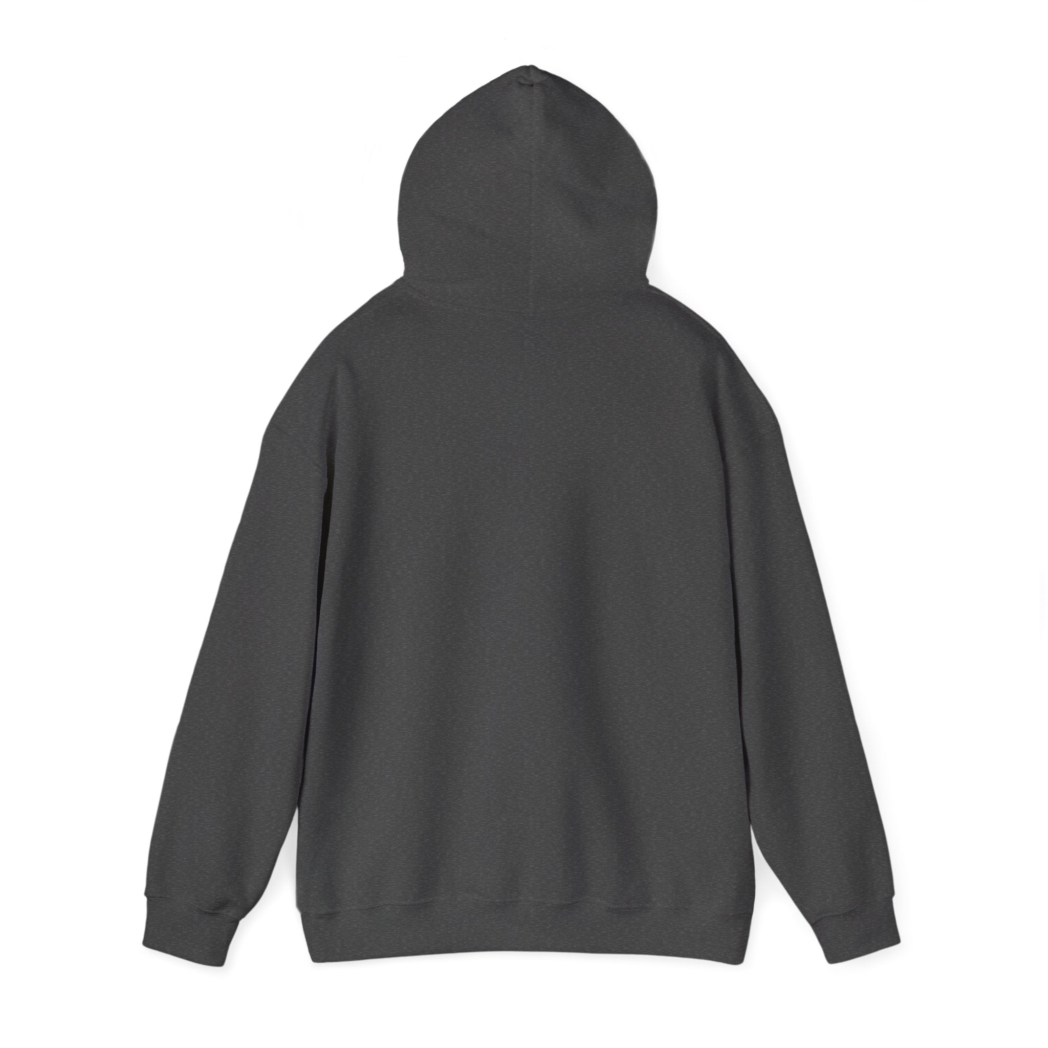 Raven & Moon Hoodie – "Luna & Raven" Celestial Pullover