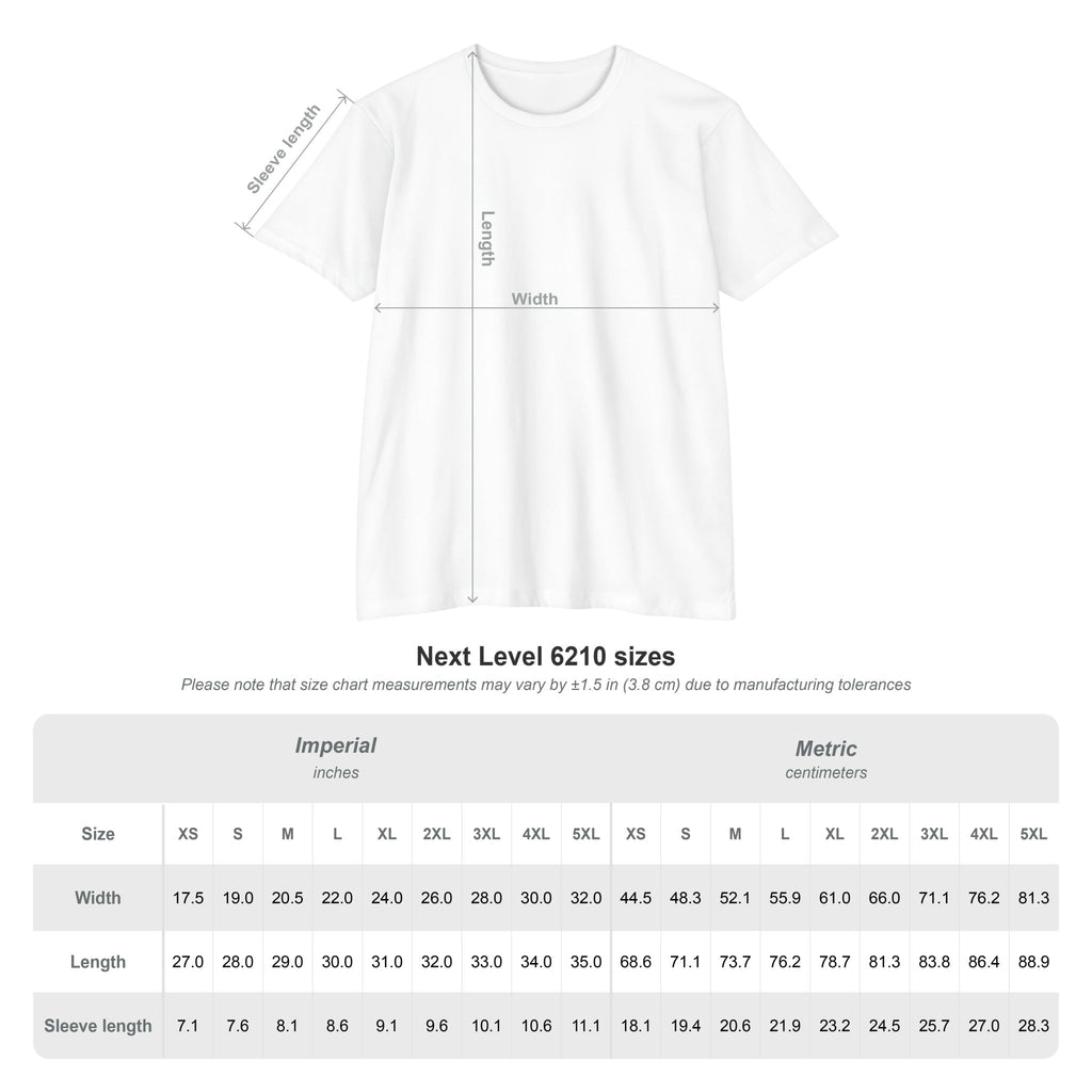 Mystic Raven Moon T-Shirt — Celestial Crow Graphic Tee