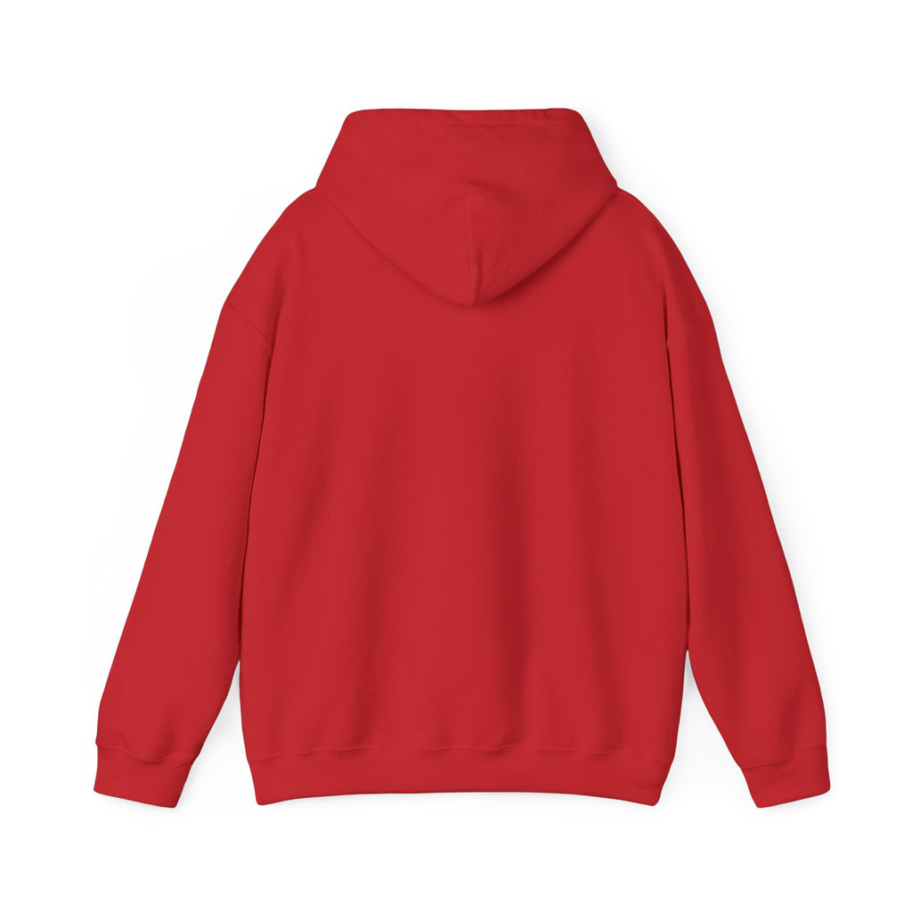 Raven & Moon Hoodie – "Luna & Raven" Celestial Pullover