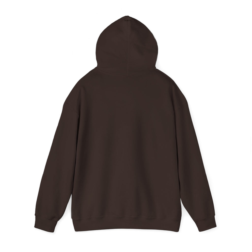 Raven & Moon Hoodie – "Luna & Raven" Celestial Pullover