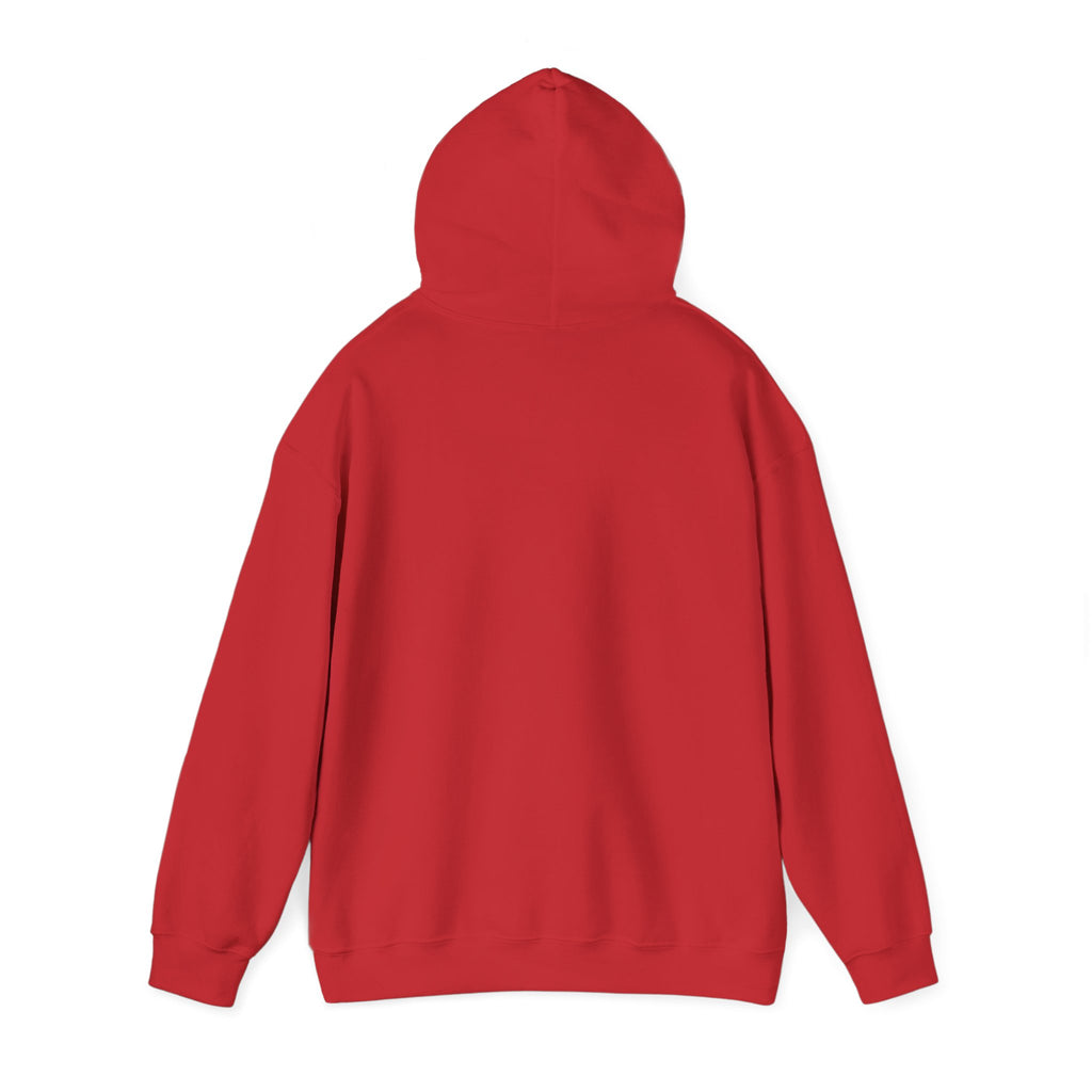Raven & Moon Hoodie – "Luna & Raven" Celestial Pullover