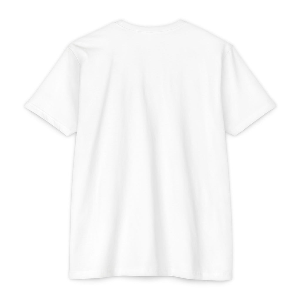 Mystic Raven Moon T-Shirt — Celestial Crow Graphic Tee