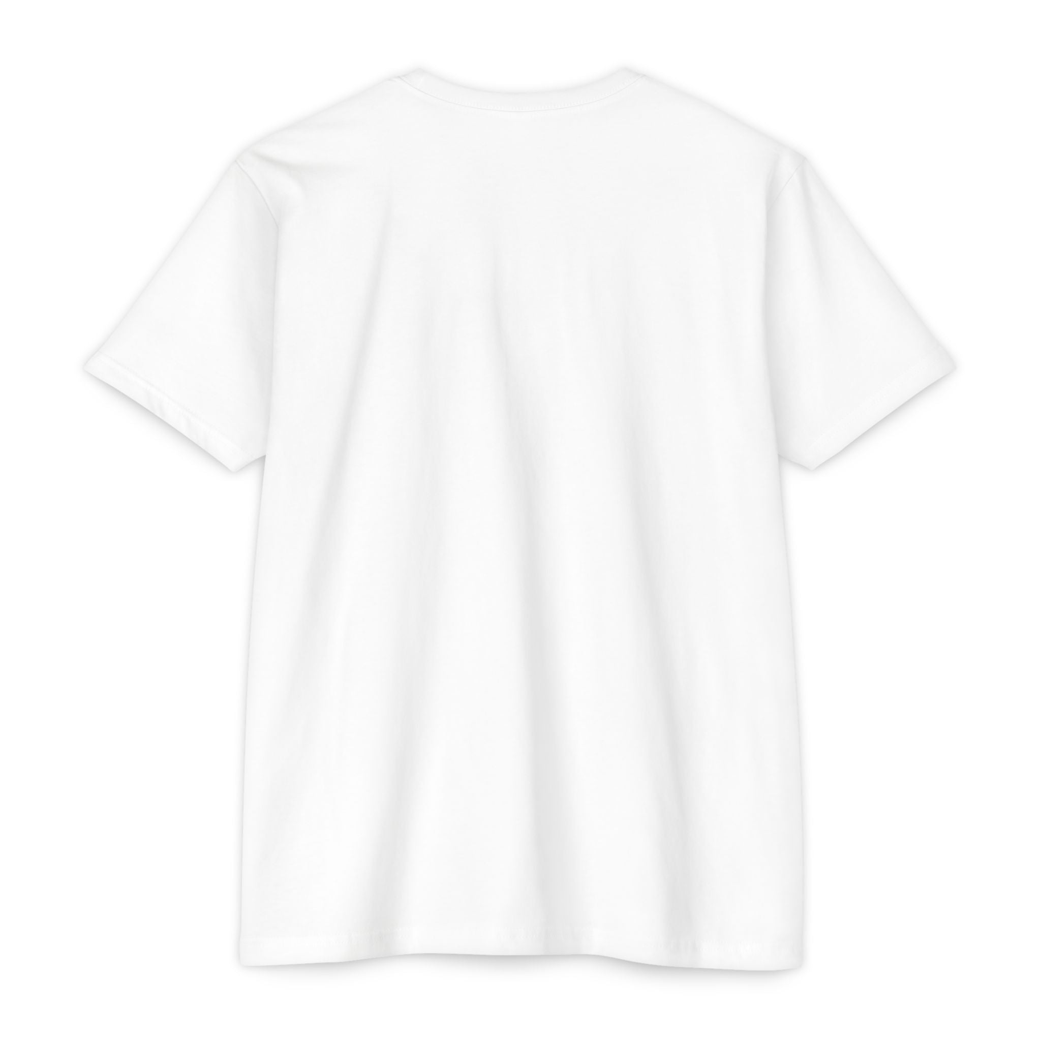 Mystic Raven Moon T-Shirt — Celestial Crow Graphic Tee