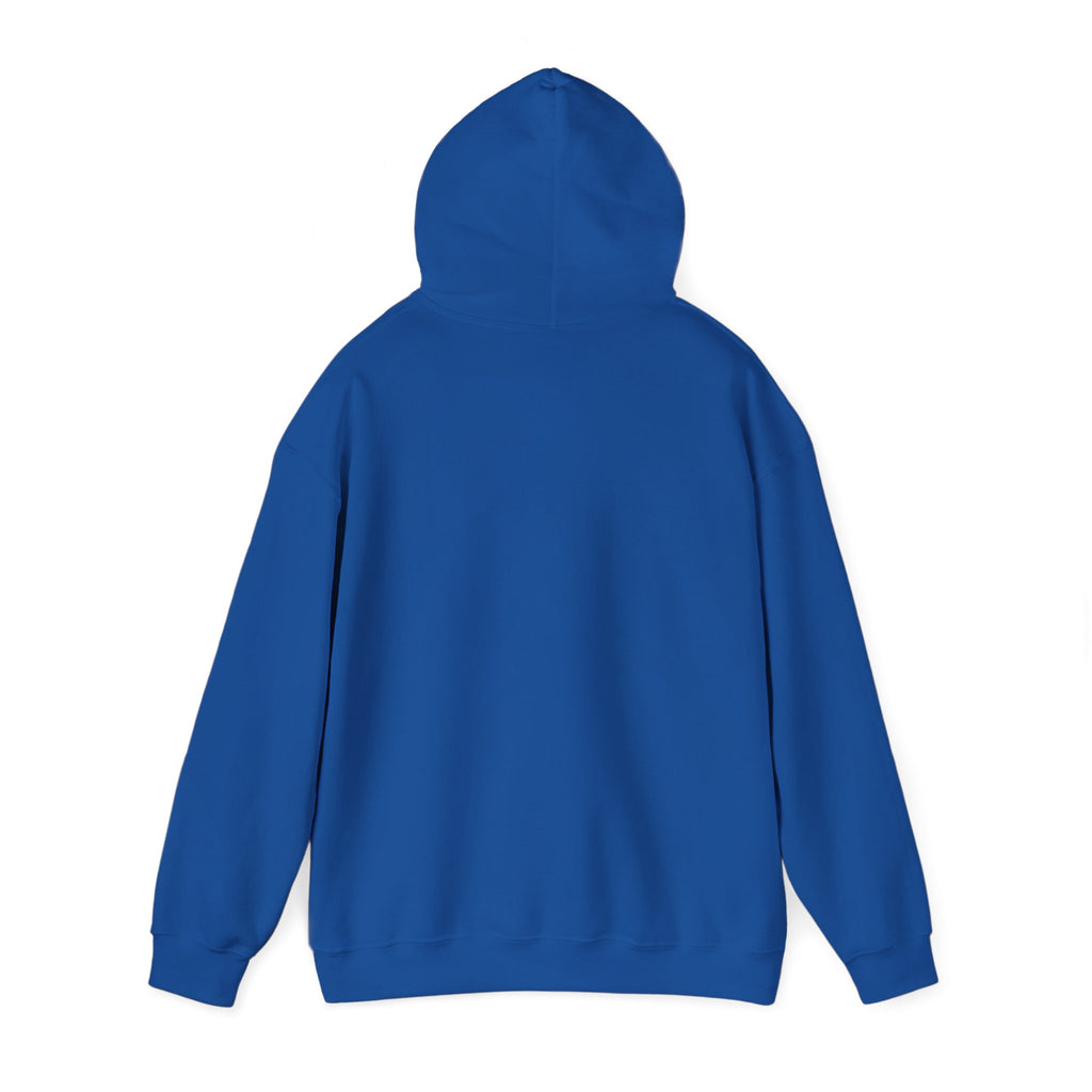 Raven & Moon Hoodie – "Luna & Raven" Celestial Pullover
