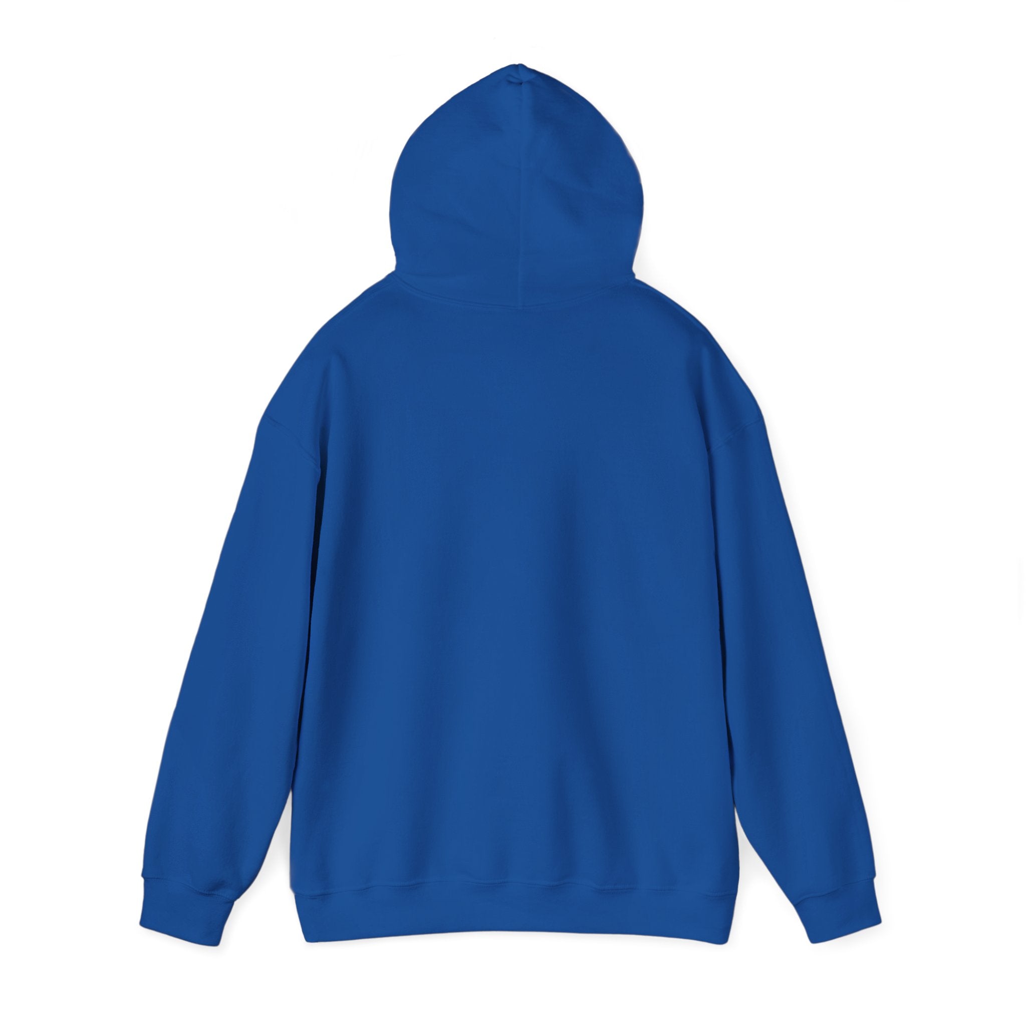 Raven & Moon Hoodie – "Luna & Raven" Celestial Pullover