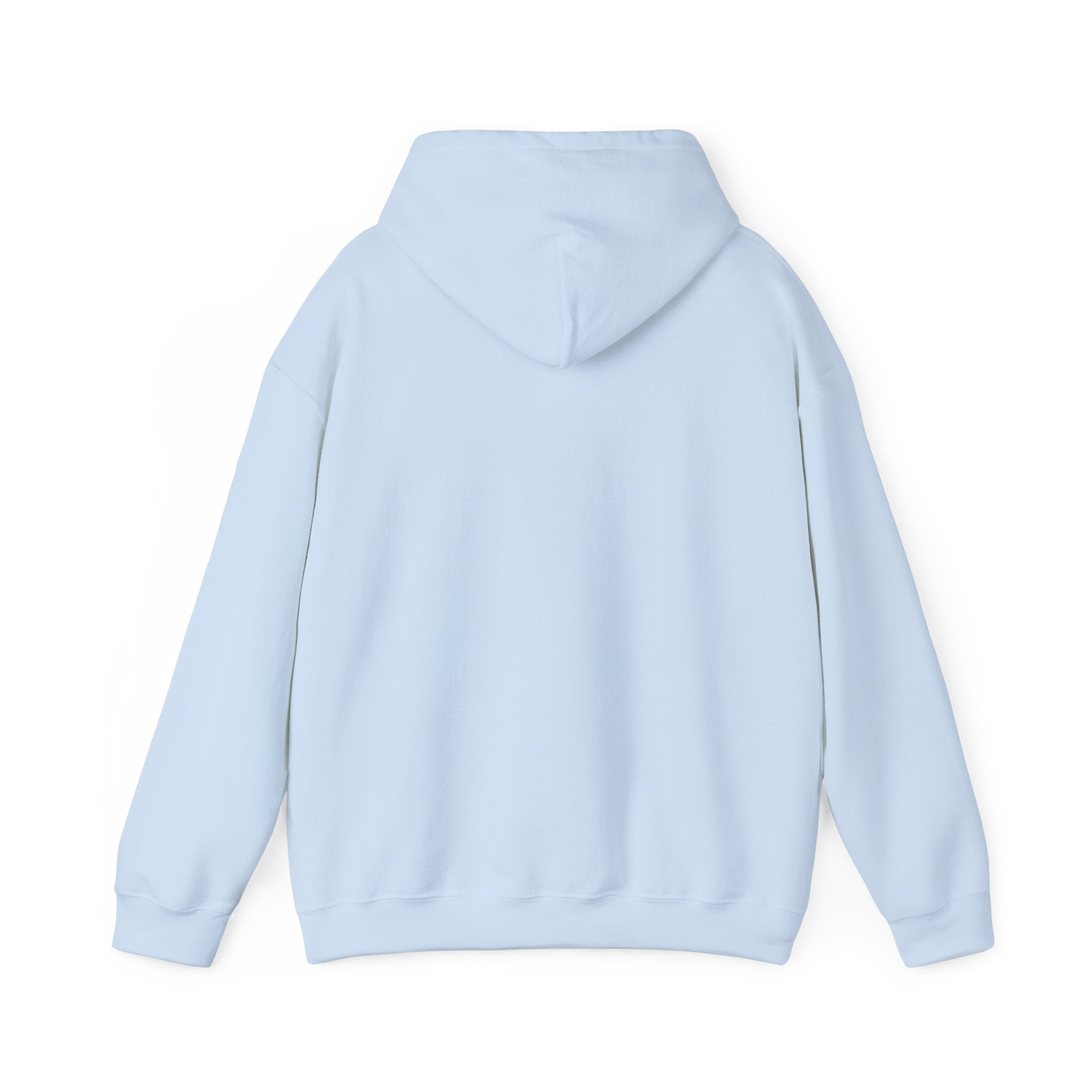 Raven & Moon Hoodie – "Luna & Raven" Celestial Pullover