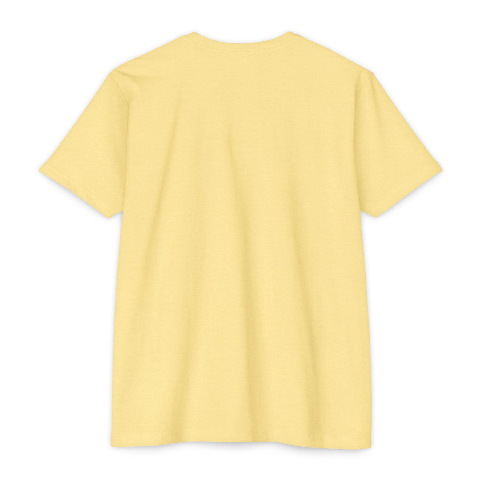 Mystic Raven Moon T-Shirt — Celestial Crow Graphic Tee