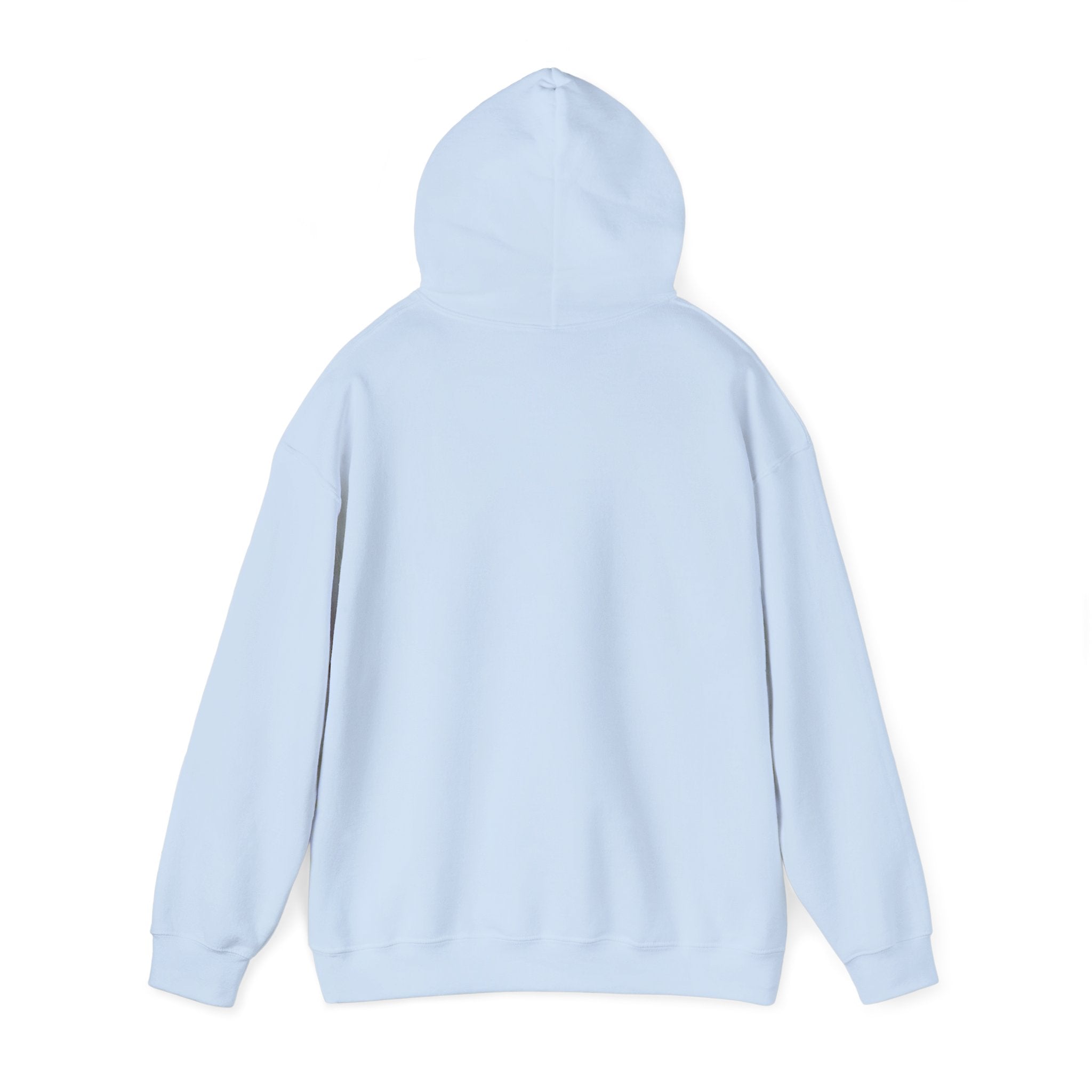 Raven & Moon Hoodie – "Luna & Raven" Celestial Pullover