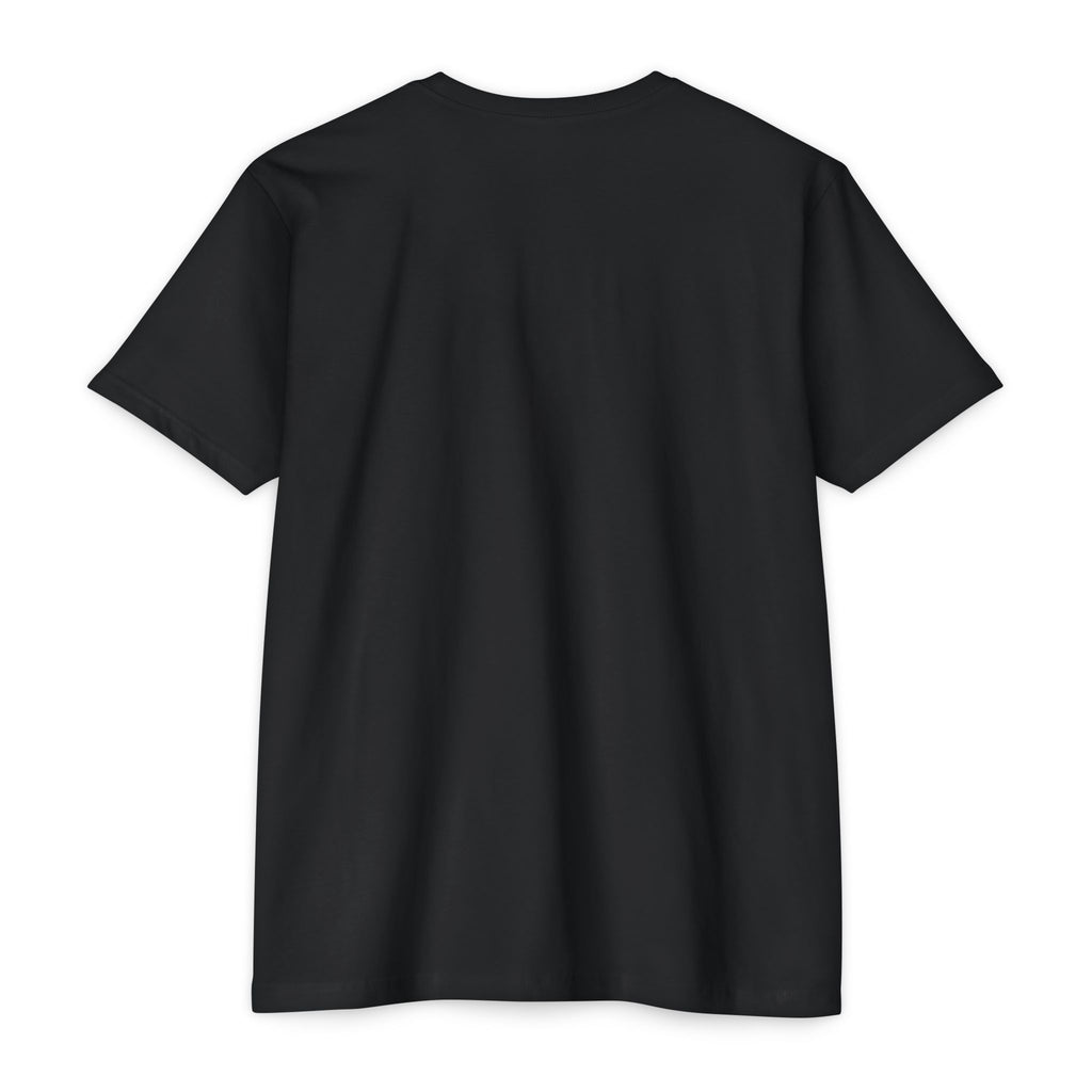 Mystic Raven Moon T-Shirt — Celestial Crow Graphic Tee