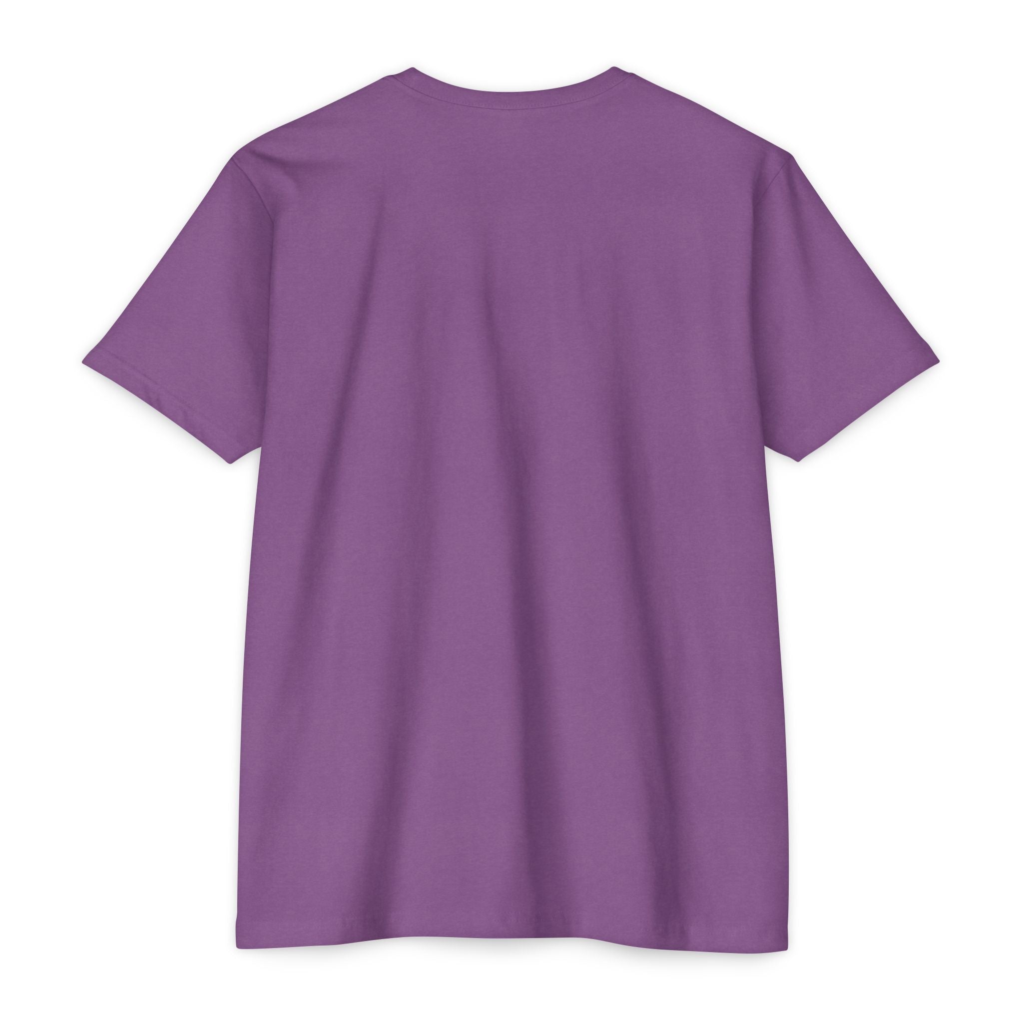 Mystic Raven Moon T-Shirt — Celestial Crow Graphic Tee