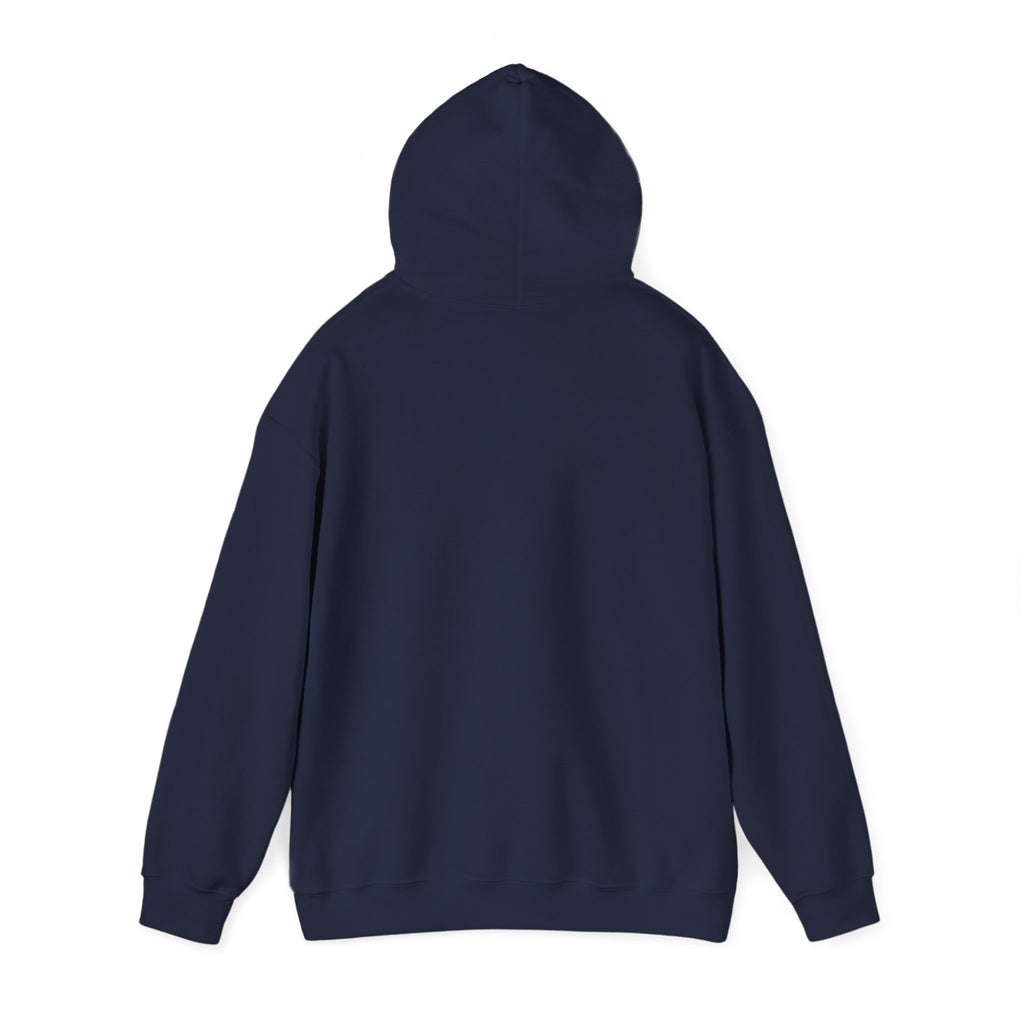 Raven & Moon Hoodie – "Luna & Raven" Celestial Pullover
