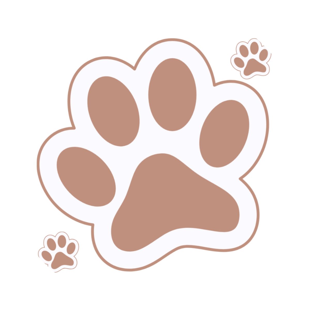Bao Bun Squishy - paws