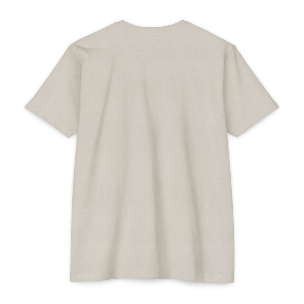 Mystic Raven Moon T-Shirt — Celestial Crow Graphic Tee