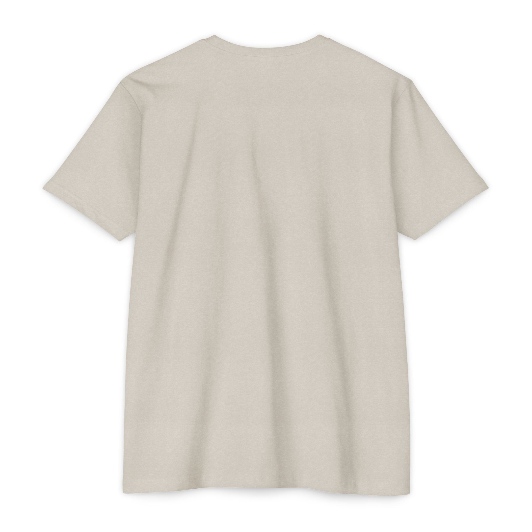 Mystic Raven Moon T-Shirt — Celestial Crow Graphic Tee